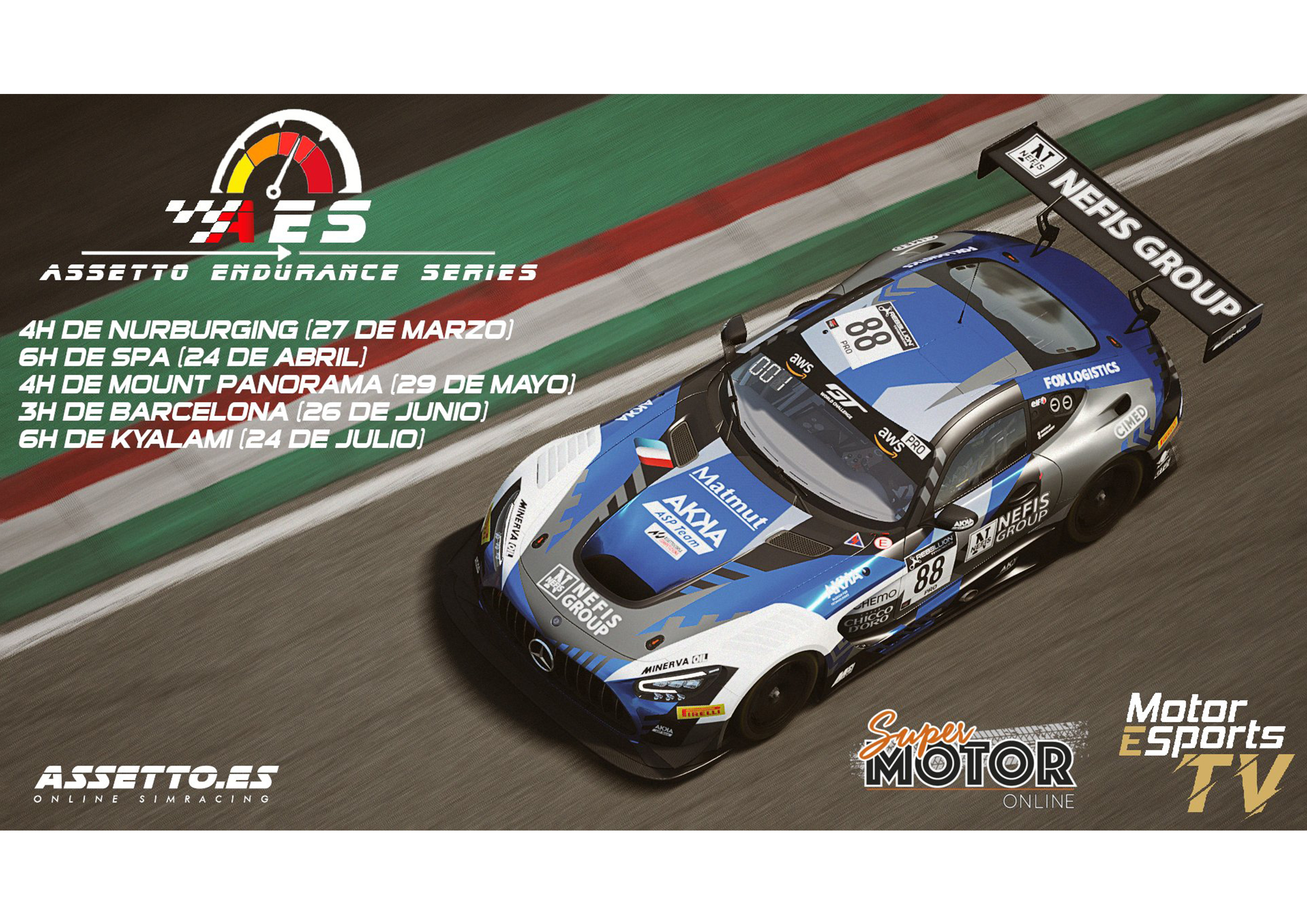 assettoenduranceseries