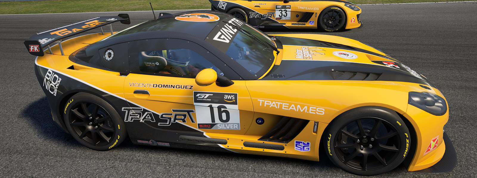 vicenteginetta2