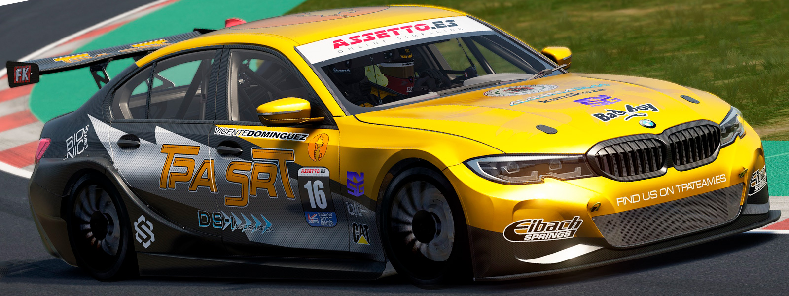 vicenteseganubtcc1